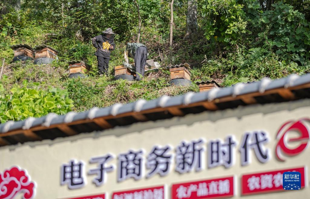 申慱官方